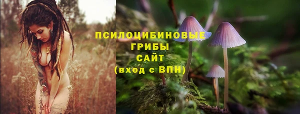 ECSTASY Карпинск
