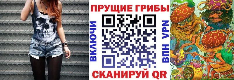Псилоцибиновые грибы GOLDEN TEACHER  дарнет шоп  Артём 