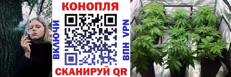 Конопля индика  Артём 